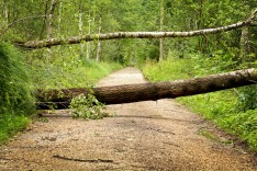 Chronologische Zusammenfassung der wichtigsten Unwetter- und Hochwasserereignisse 2019