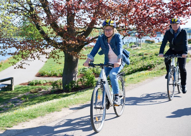 &nbsp;Europäischer Tag des Fahrrads: Niederösterreich setzt auf Radtourismus